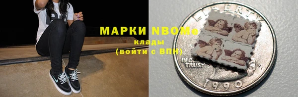 прущие грибы Осташков