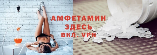 прущие грибы Осташков