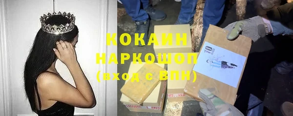 прущие грибы Осташков