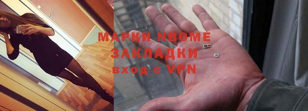сатива Няндома