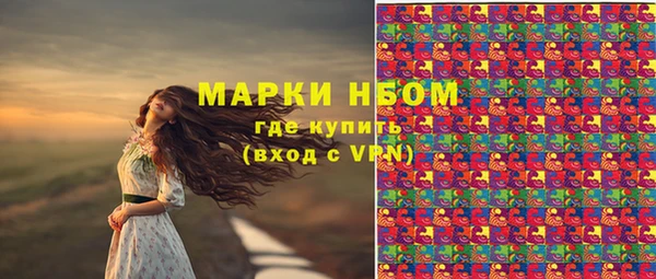 ПСИЛОЦИБИНОВЫЕ ГРИБЫ Нязепетровск