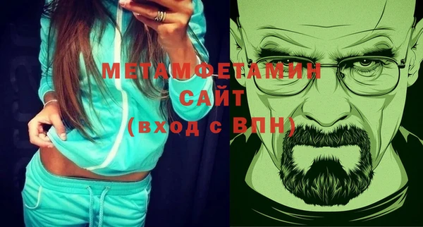 сатива Няндома