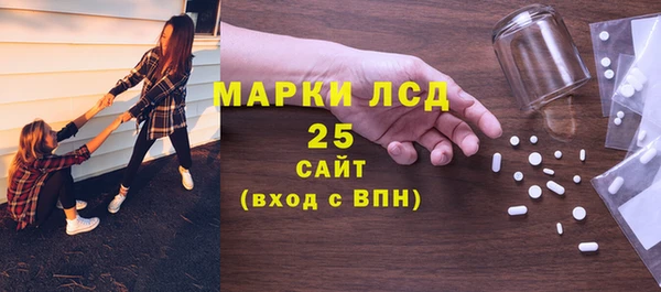 сатива Няндома