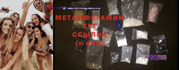 прущие грибы Осташков