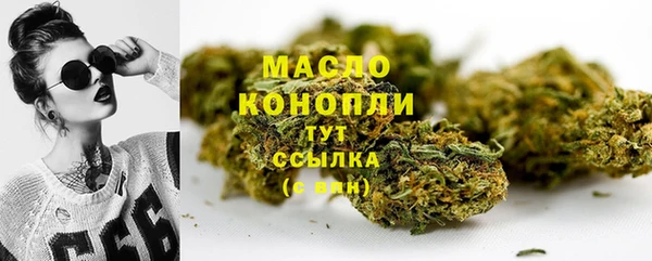 сатива Няндома