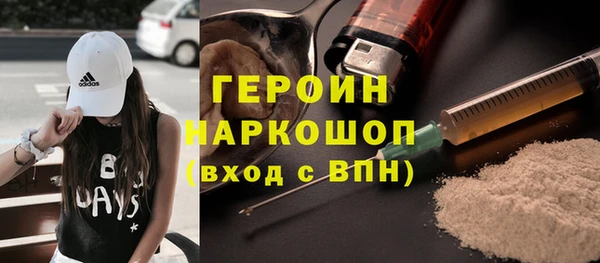 сатива Няндома
