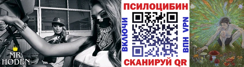 Псилоцибиновые грибы мицелий  сколько стоит  Кувшиново 