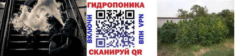 хочу наркоту  Кувшиново  Каннабис семена 
